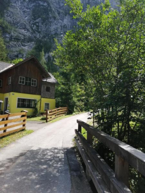 Haus Waldbach Hallstatt